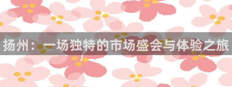 金诺利年会