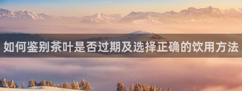 金年会娱乐官网