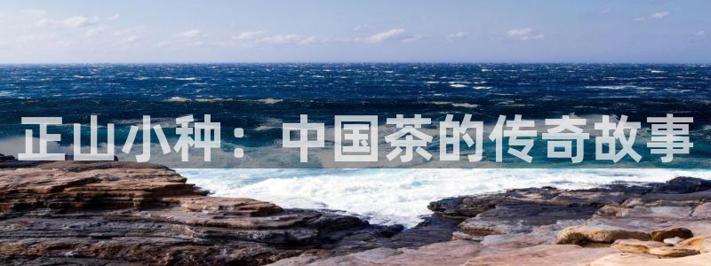金 金年会