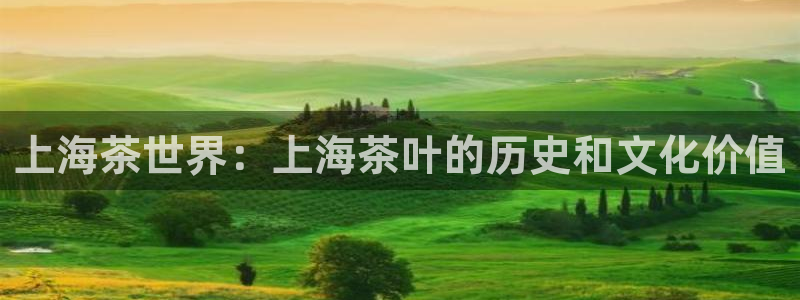 金年会体育app
