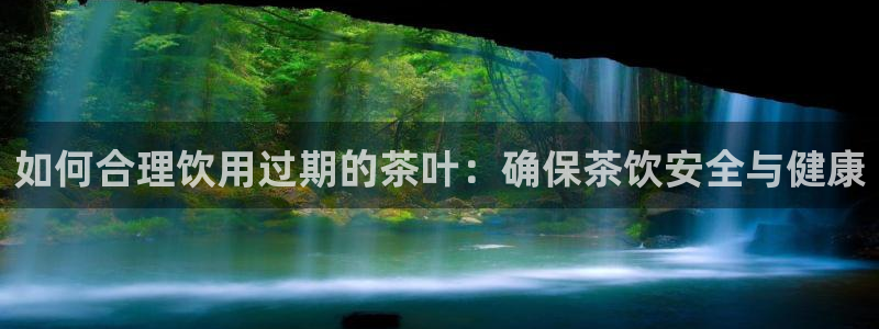 金年会.cc