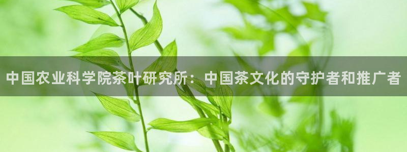 金年会取款