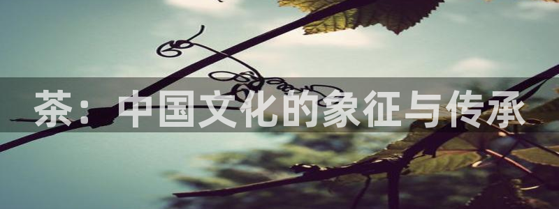 金年会官方网站