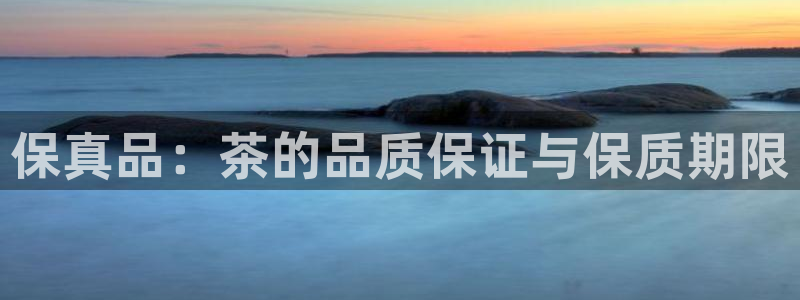 金年会平台是什么
