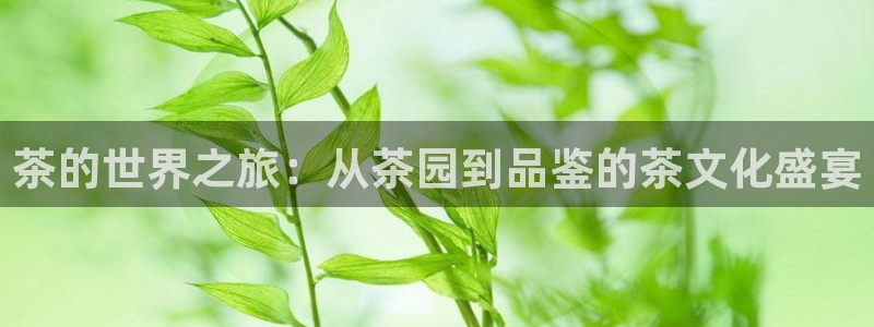 金年会VIP