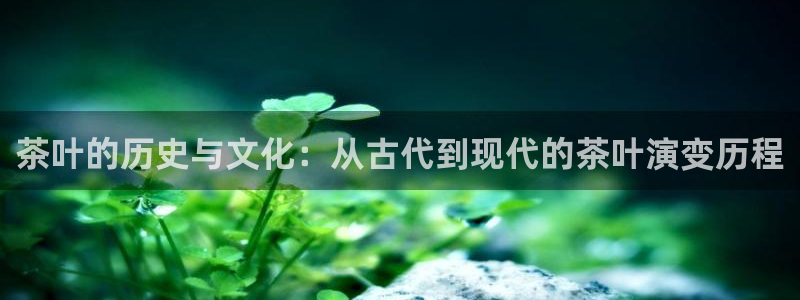 金年会菲律宾