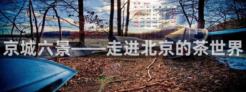 金年会提款慢