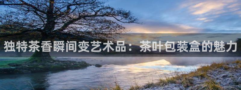 金年会平台登陆