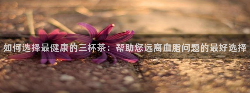 金年会综合APP