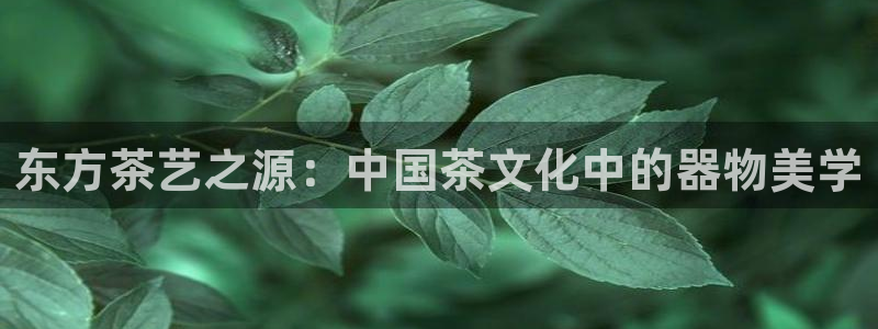 金汉江年会