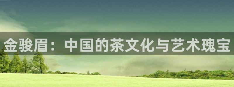 金年会原名