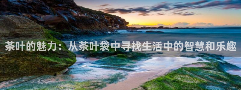金年会投注官网
