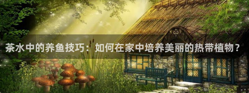 金年会体育下载