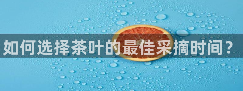 年会金