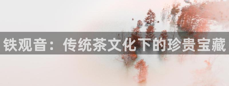 金年会体育官方网站