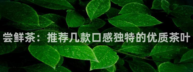 金年会APP安装下载