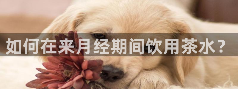 金年会体育苹果下载