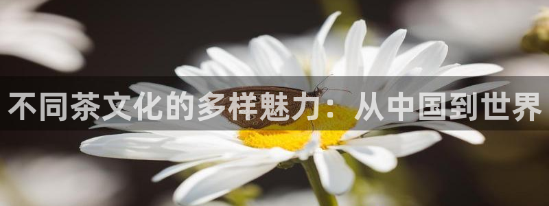 金年会 1080P