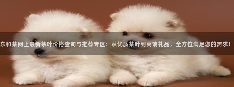 金年会官网地址