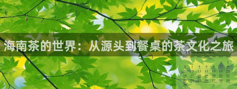 金年会体育app