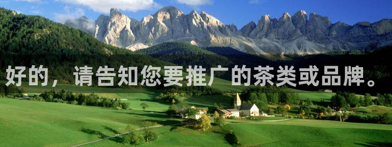 金年会今年会