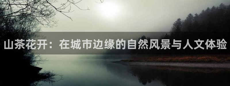 金年会游戏