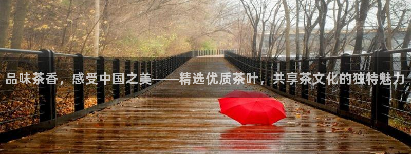金年会APP下载