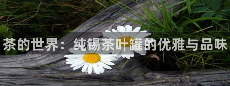 金年会平台是什么