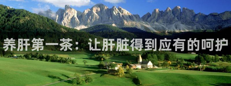 金年会代理