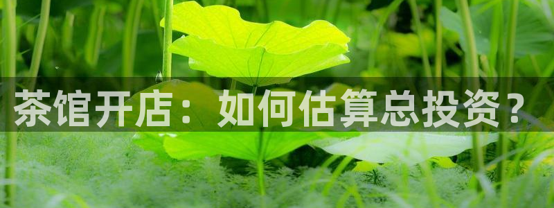 金年会APP黑钱