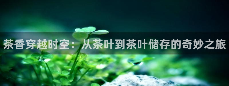 金年会 信誉至上