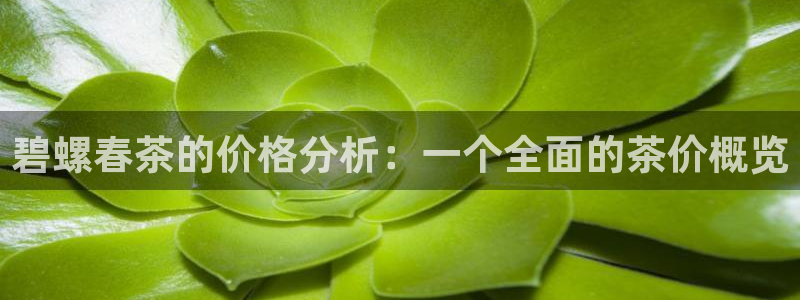类似金年会