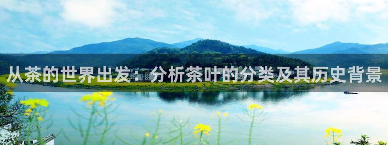 金年会金字招牌