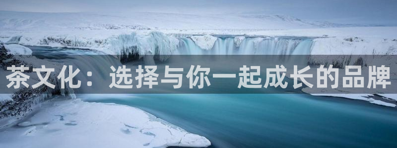 金年会是真的吗