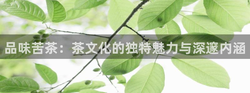 金年会赞助西甲