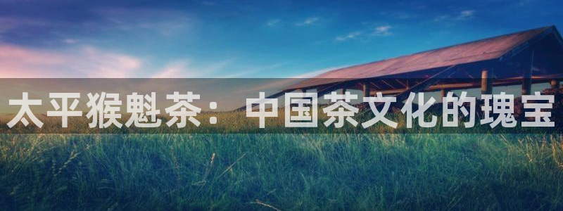 金年会体育官方网站