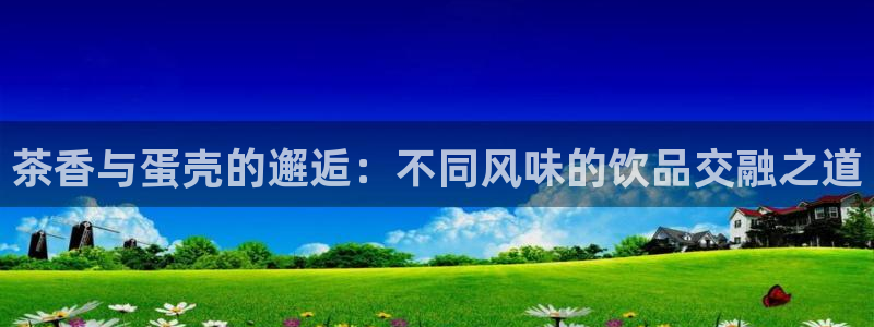 金年会菲律宾