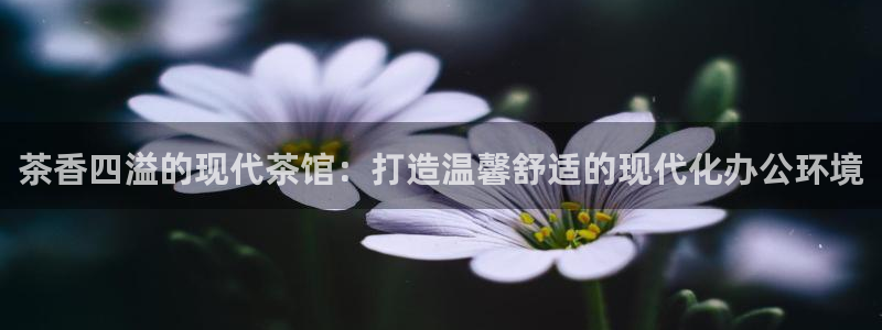 金年会官