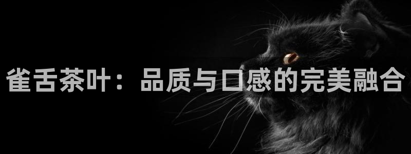 金年会官网登入