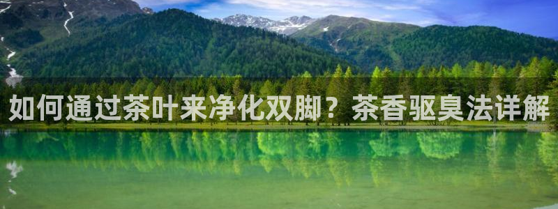 金年会娱乐官网
