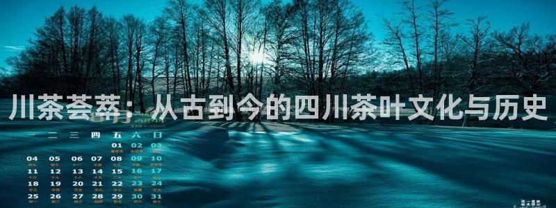 金年会体育app下载
