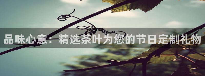 金年会能提款吗