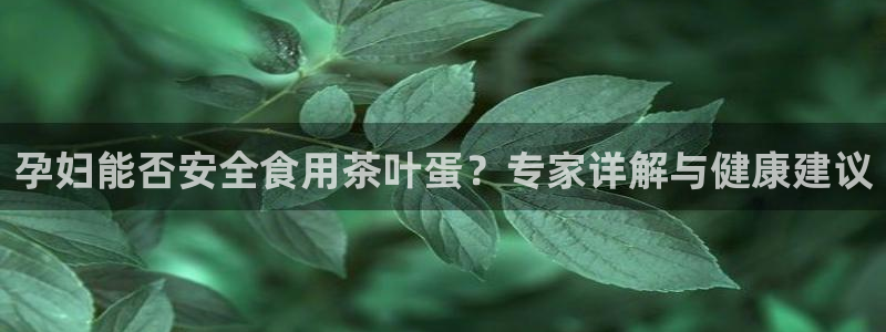 金年会电子