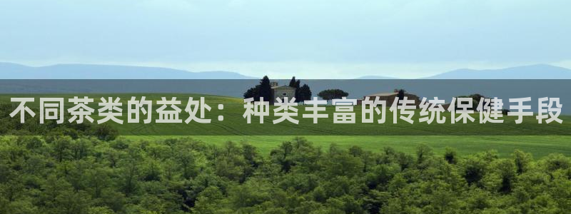 2022金年会