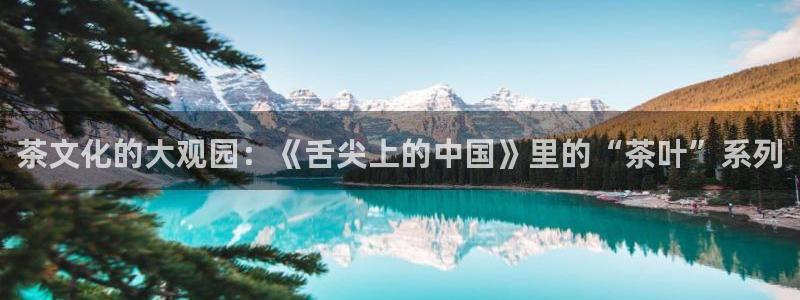 今年会金年会