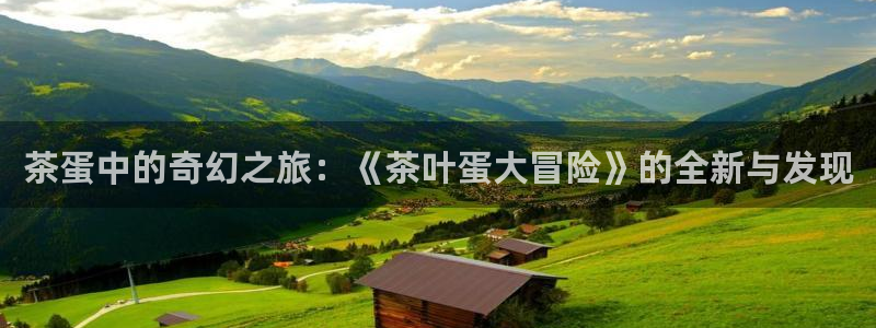 金年会平台