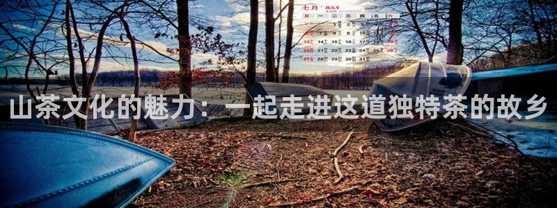 金年会嗨聊app下载