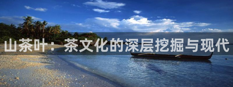 金年会活动