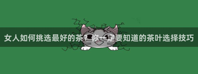金靖年会