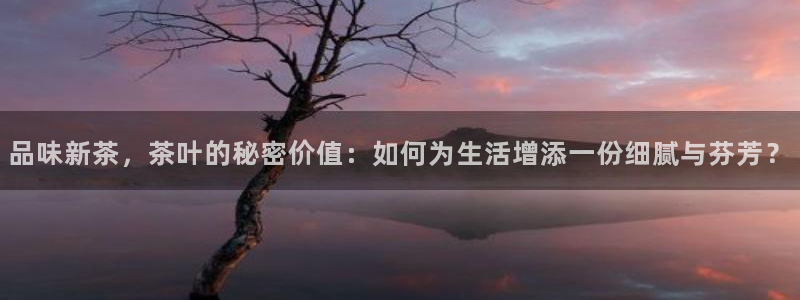 金年会退款